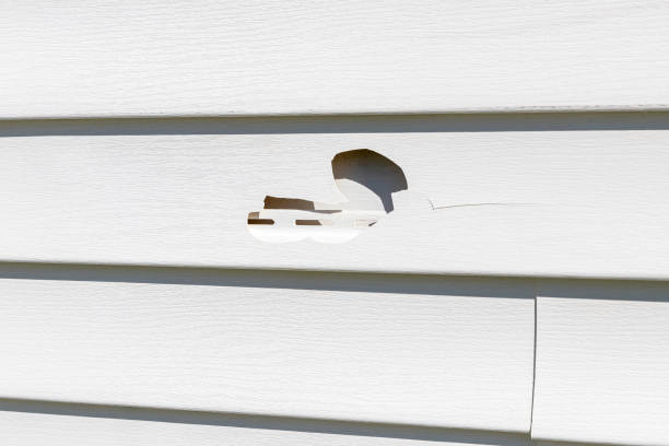 Best Shed Removal  in Lehighton, PA
