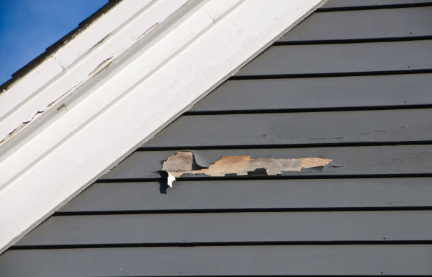 Best Residential Junk Removal  in Lehighton, PA